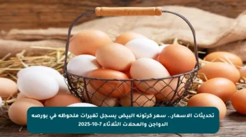 تحديثات الأسعار.. سعر كرتونة البيض يسجل تغيرات ملحوظة في بورصة الدواجن والمحلات الثلاثاء 7-10-2025